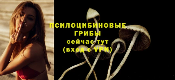 ешки Майский