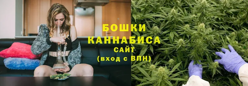 Бошки марихуана Bruce Banner  Нелидово 